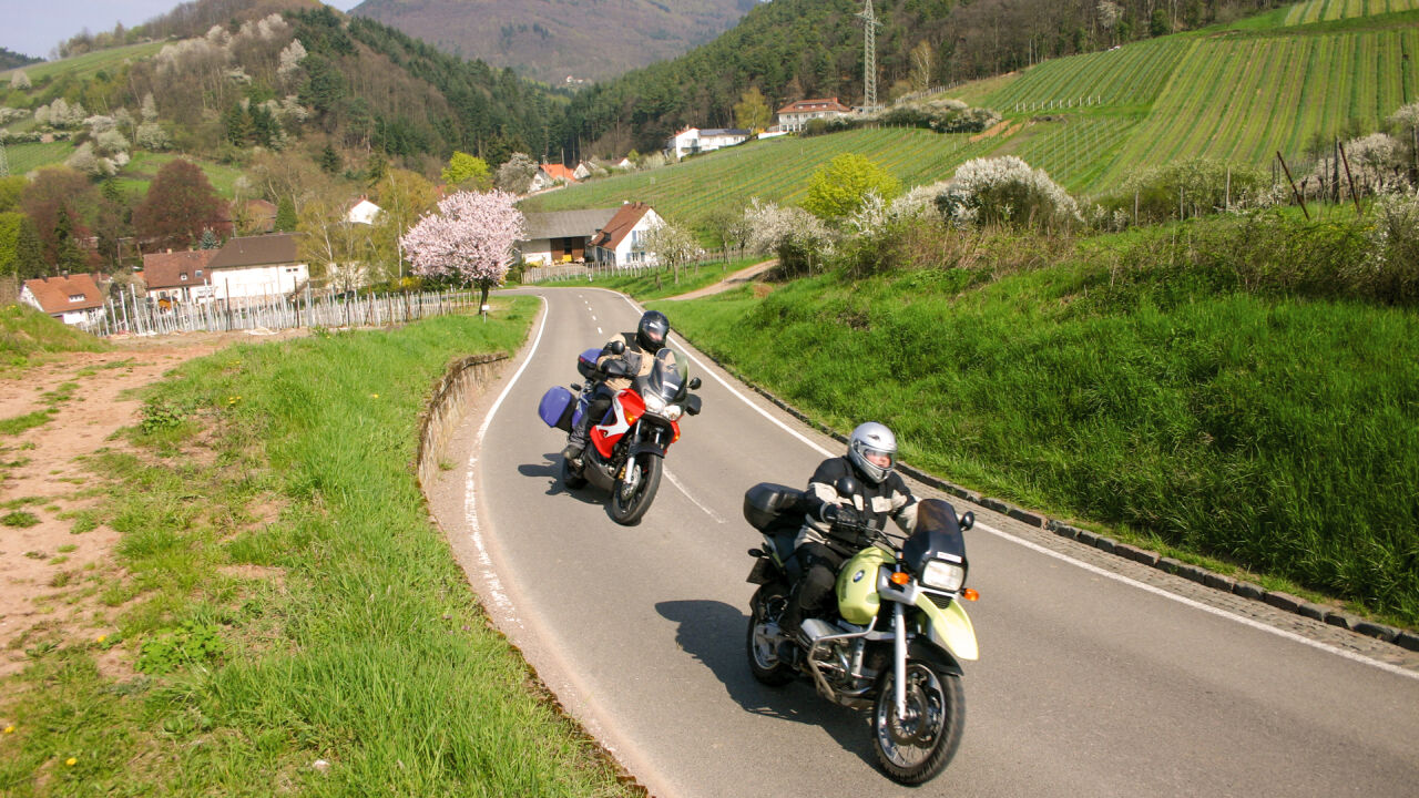 Zwei Motorräder auf einer Landstraße zwischen blühenden Bäumen und Rebhängen Zwei Motorräder auf einer Landstraße zwischen blühenden Bäumen und Rebhängen