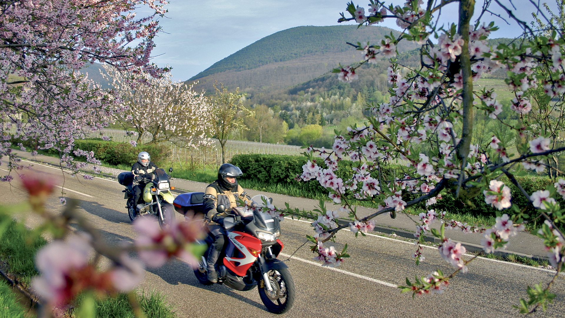 Motorradhotels in der Pfalz Motorradhotels in der Pfalz