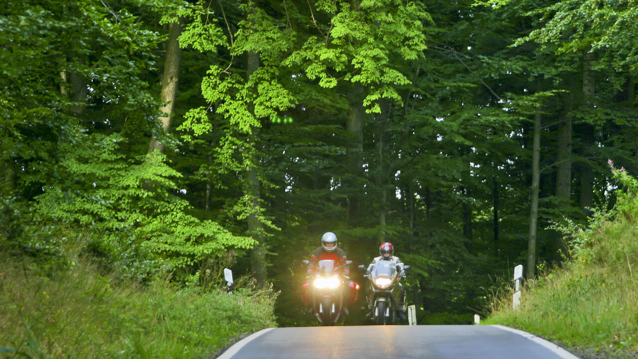 Zwei Motorräder mit Licht kommen auf einer Straße durch dichten Laubwald entgegen Zwei Motorräder mit Licht kommen auf einer Straße durch dichten Laubwald entgegen